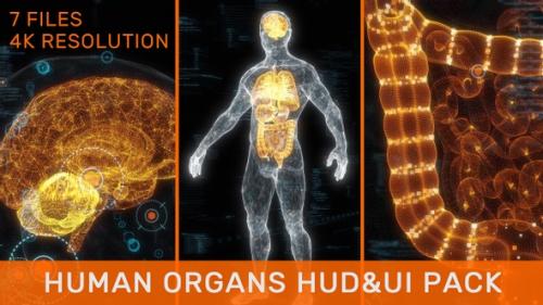 Videohive - Human Organs HUD UI Pack - 33251348