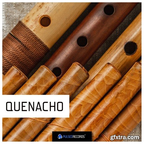 Pulsed Records World Series: Quenacho WAV