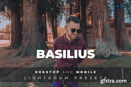 Basilius Desktop and Mobile Lightroom Preset