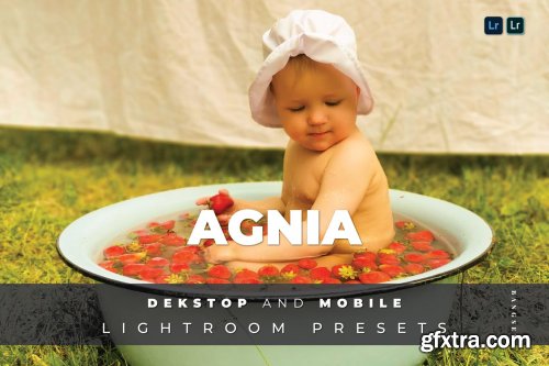 Agnia Desktop and Mobile Lightroom Preset