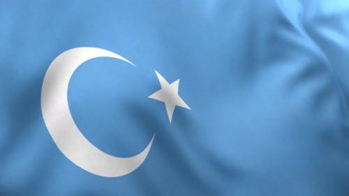 Videohive - East Turkestan Flag / Uyghur Flag - 4K - 33291977
