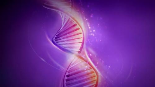 Videohive - Animation Of Rotation Of A DNA Strand 4K - 33310626