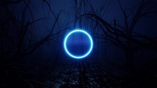 Videohive - Glowing Blue Neon Circle Light In The Dark Forest 4K - 33280482