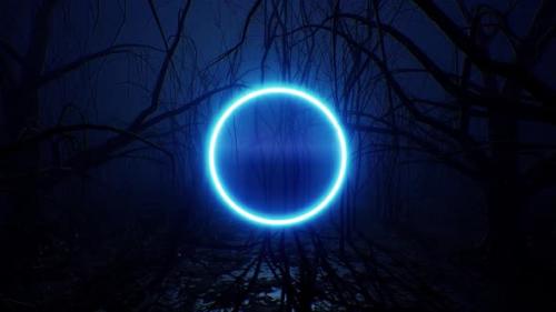 Videohive - Glowing Blue Neon Circle Light in the Dark Forest - 33280586