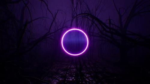 Videohive - Glowing Purple Neon Circle Light in the Dark Forest 4K - 33280971