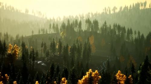 Videohive - Sunlight in Spruce Forest in the Fog on the Background of Mountains at Sunset - 33330770