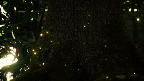 Videohive - Fantasy Firefly Lights in the Magical Forest - 33330781