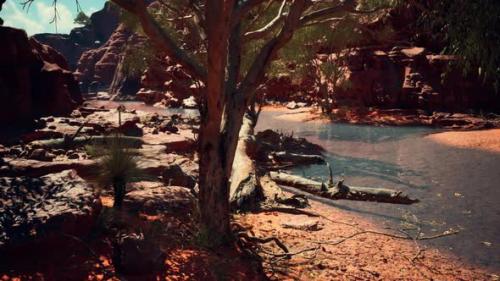 Videohive - Trees Near Colorado River in Grand Canyon - 33330823