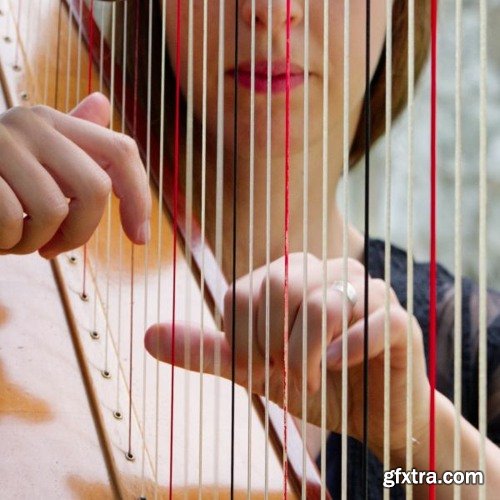 noiiz Harmonious Harps by Aur0ra WAV | 435 MB