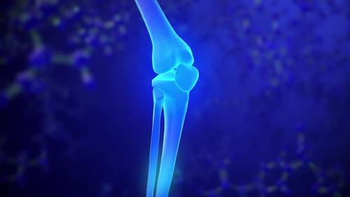 Videohive - Knee skeleton x-ray scan - 33428468