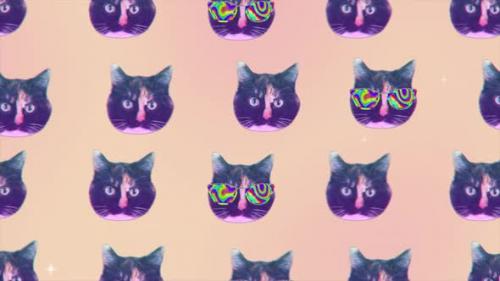 Videohive - Collage Animation of Cat Faces Fly in Minimal Motion Design - 33509665