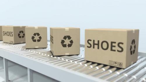 Videohive - Cartons with Shoes on Roller Conveyor - 33528674