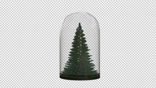 Videohive - Growing Pine Tree In The Glass Lantern - 33602710
