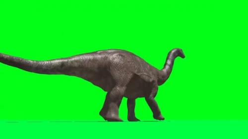 Videohive - Apatosaurus Dinosaur Walking 4 - 33609370