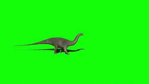 Videohive - Apatosaurus Dinosaur Walking 2 - 33609387