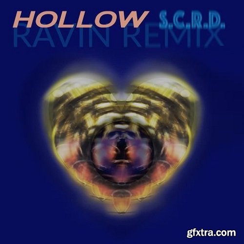 Trip Digital Ravin Remixes Hollow Vol 01 WAV