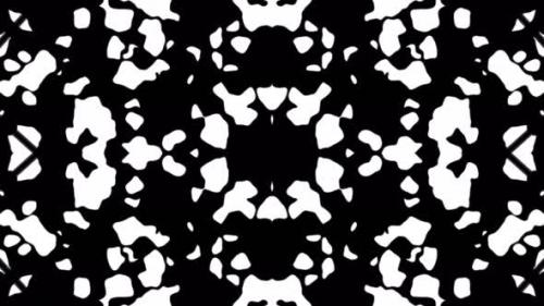Videohive - Abstract white black geometric seamless pattern background - 33618494