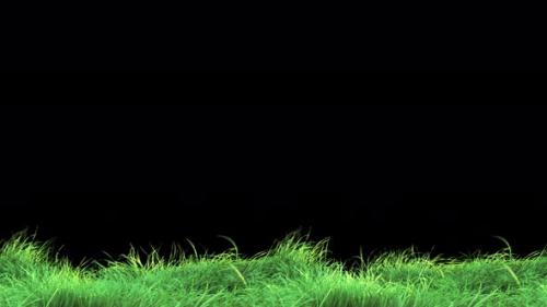 Videohive - Waving Grass in The Strong Wind Loop 4K - 33620687
