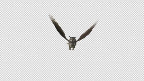Videohive - Owl - Horned - Flying Loop - Front View - 33622103