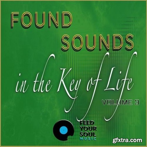 Feed Your Soul Music Found Sounds Vol 3 Sounds in The Key of Life WAV