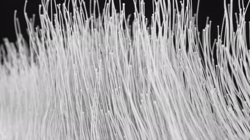 Videohive - Clean White Particles Lines - 33607568