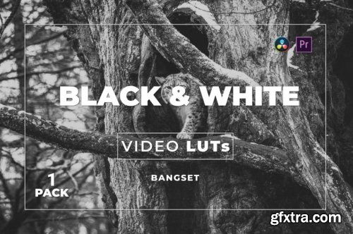 Bangset Black & White Pack 1 Video LUTs