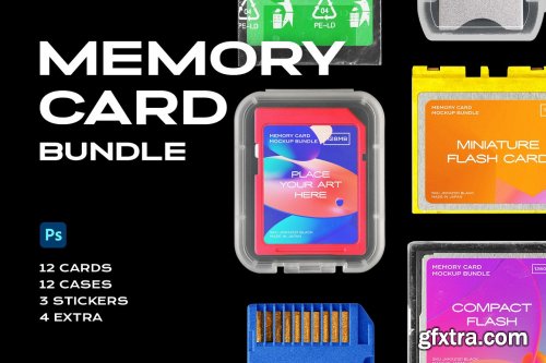 CreativeMarket - Memory Card Mockup Template SD 6178260