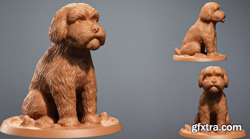 Zbrush dog sculpting for beginners to advanced