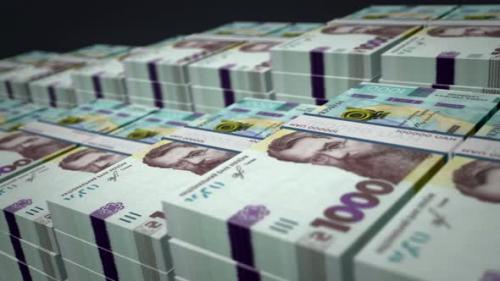 Videohive - Ukrainian Hryvnia money banknote pack growth up loop - 33636105