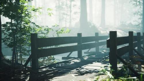Videohive - Wooden Bridge Into Forest with River - 33674712