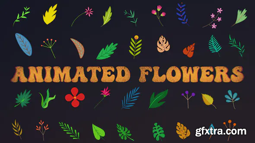 Videohive Animated Flowers || After Effects 33714560