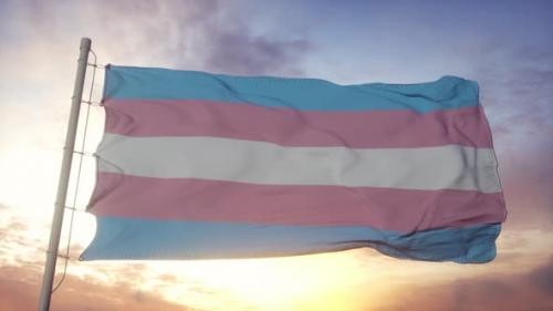 Videohive - Transgender Pride Flag Waving in the Wind Sky and Sun Background - 33710301