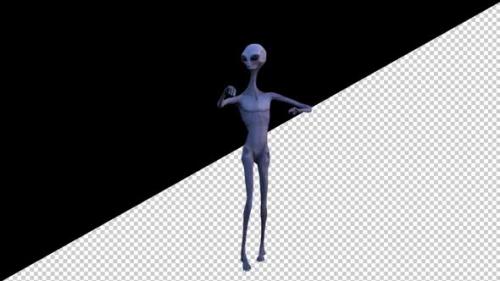 Videohive - Gray Alien Dancing - 33714521