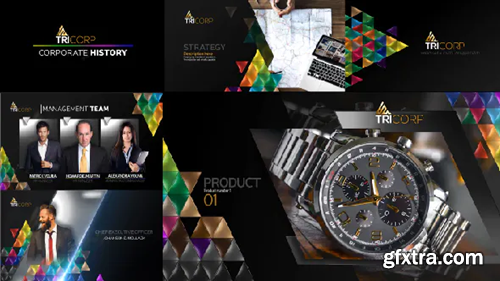 Videohive 3D Triangle Concept Corporate Profile 21482481