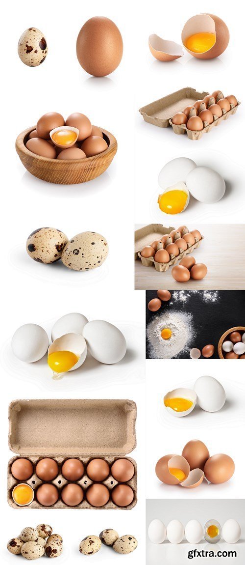 Eggs, Quail eggs - 16xHQ JPEG