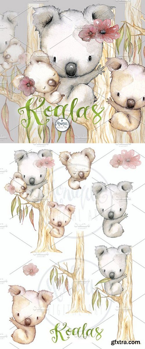 Koala Clipart Watercolor