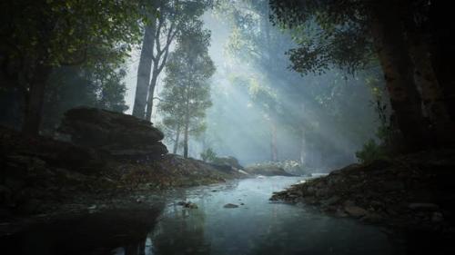 Videohive - Calm River in a Forest looped HD - 33720416