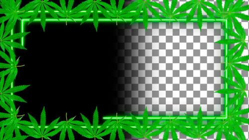 Videohive - Cannabis Neon Frame. Alpha Channel - 33849934