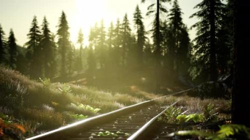 Videohive - Autumn Colours Along a Railway Track at Sunset - 33858307