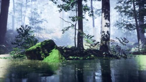 Videohive - Mist on Pond in Forest with Fog - 33858377
