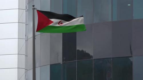 Videohive - Western Sahara Flag Background 4K - 33859580