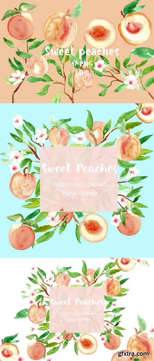 Peach. Watercolor clip art