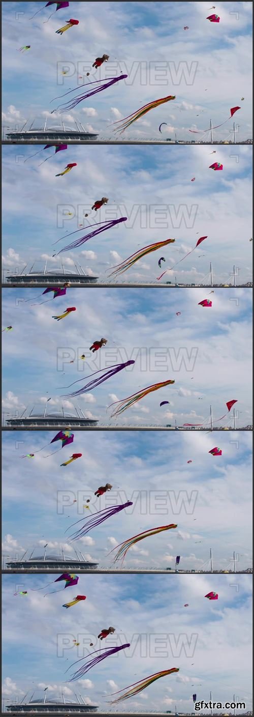 Kites In The Sky 1029841