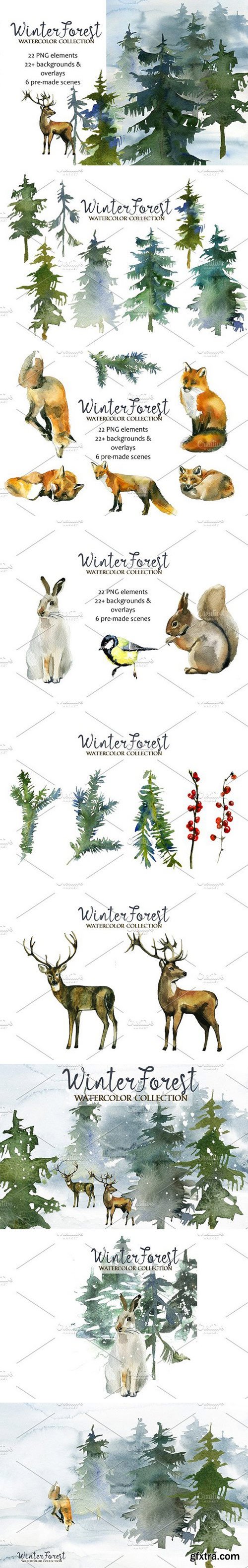 Forest Fir Trees Watercolor Clipart