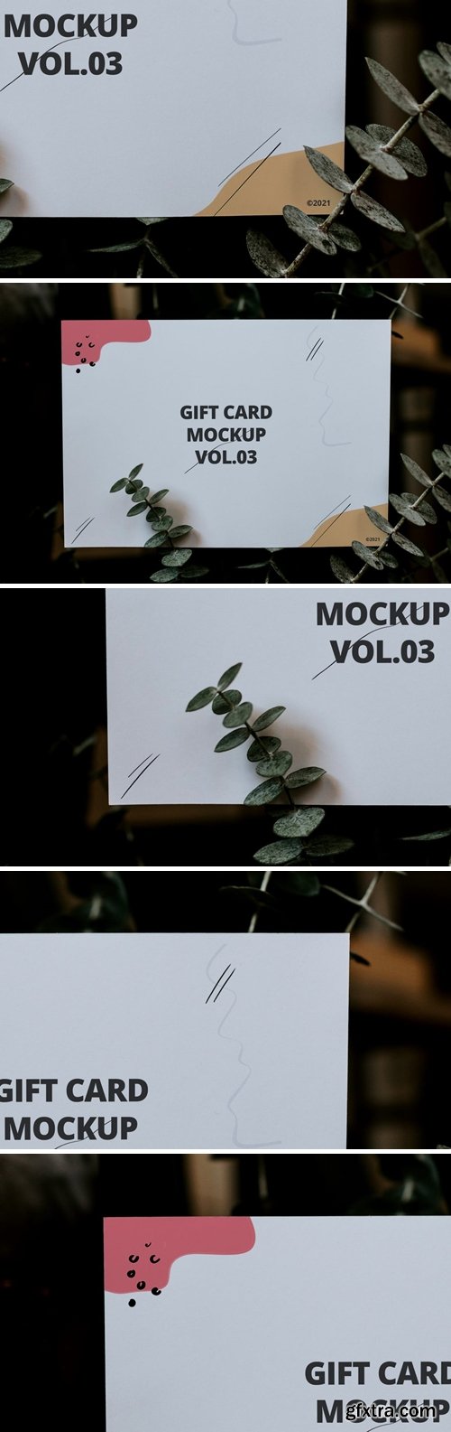 Gift Card Mockup Vol.03