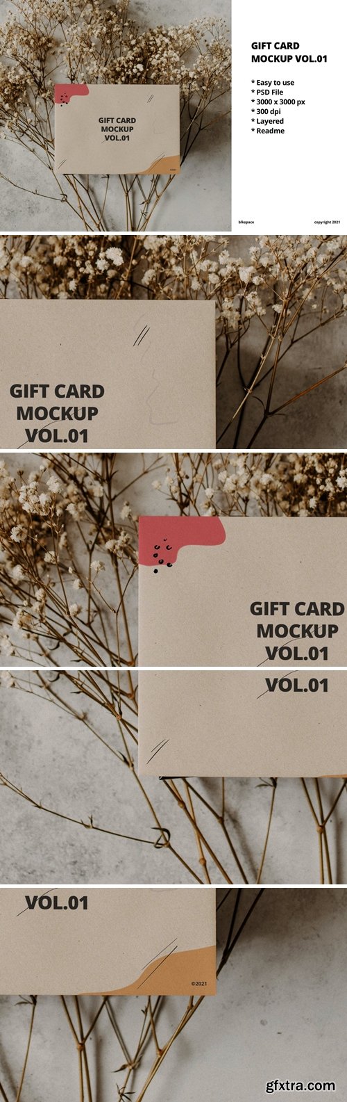 Gift Card Mockup Vol.01