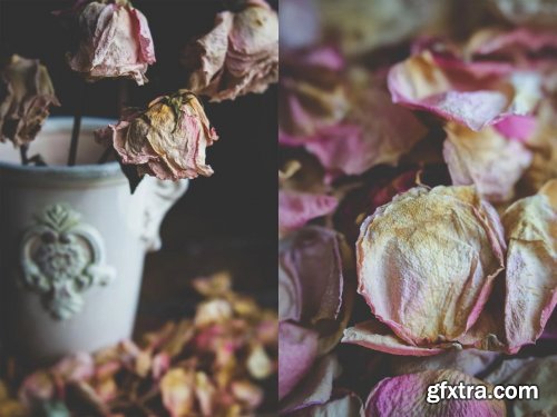 Still Life Photography: Creating A Dark & Moody Flower Setup