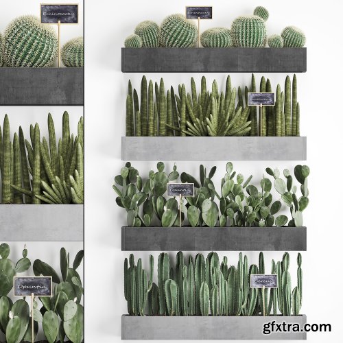 Cactus set wall decor vertical garden 43