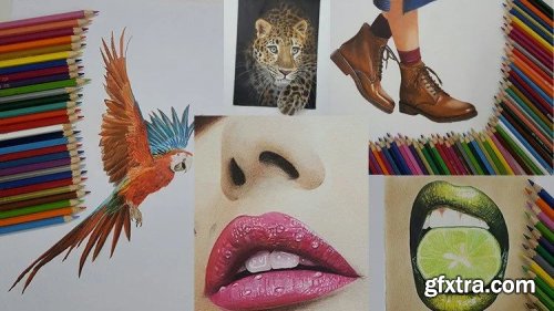 Ultimate Realistic Drawing: Master Colored Pencil Drawing