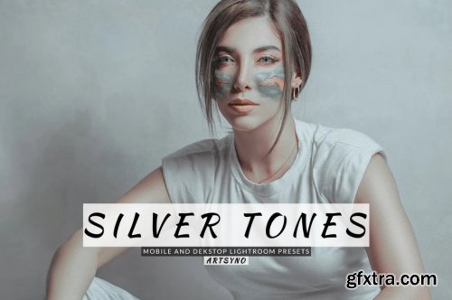 Silver Tones Lightroom Presets Dekstop and Mobile